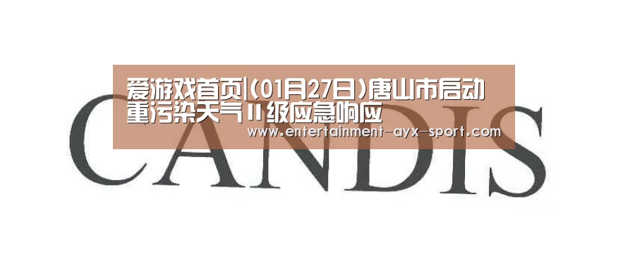 爱游戏体育