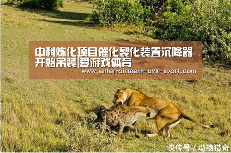 中科炼化项目催化裂化装置沉降器开始吊装|爱游戏体育(图4) 爱游戏官网