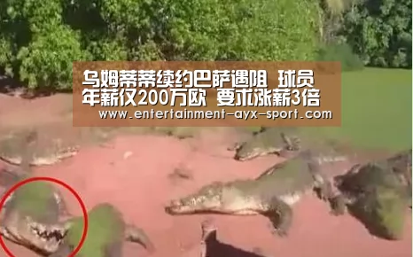 爱游戏官网