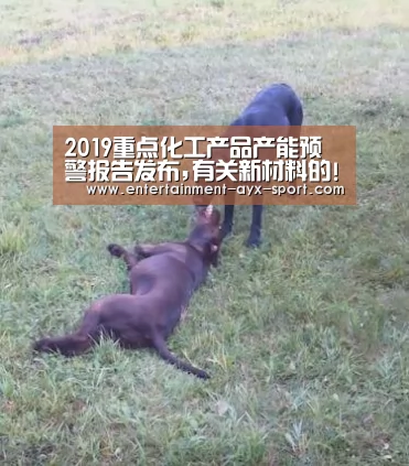 爱游戏官网